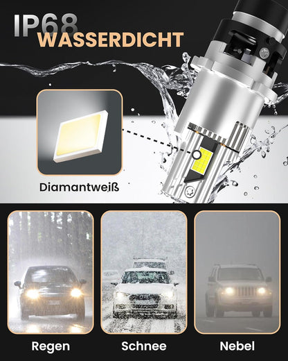 Stellar D2S LED 2026 Upgraded Technologie (1 Paar / 2 Stück)